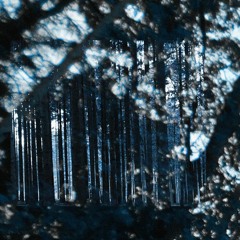 In The Key of C [WIP]