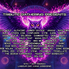 Tribute Gathering 2026 Mad Monday Psytrance Set