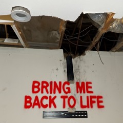 Bring Me Back To Life