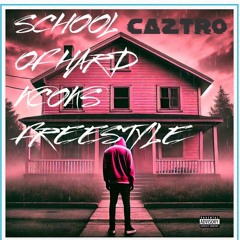 School of hard knocks (Freestyle)