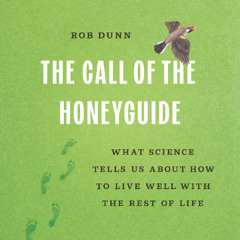 The Call of the Honeyguide By Rob Dunn, Read By Charles Constant (Audiobook Excerpt)