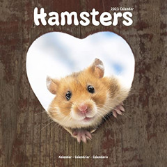 [ACCESS] PDF 📂 2023 Hamsters Wall Calendar by  Avonside Publishing Ltd PDF EBOOK EPU