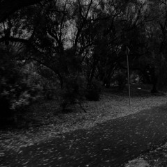 yet you still say you love me