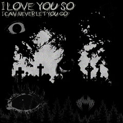 I LOVE YOU SO I CAN NEVER LET YOU GO JUMPSTYLE (SLOWED)