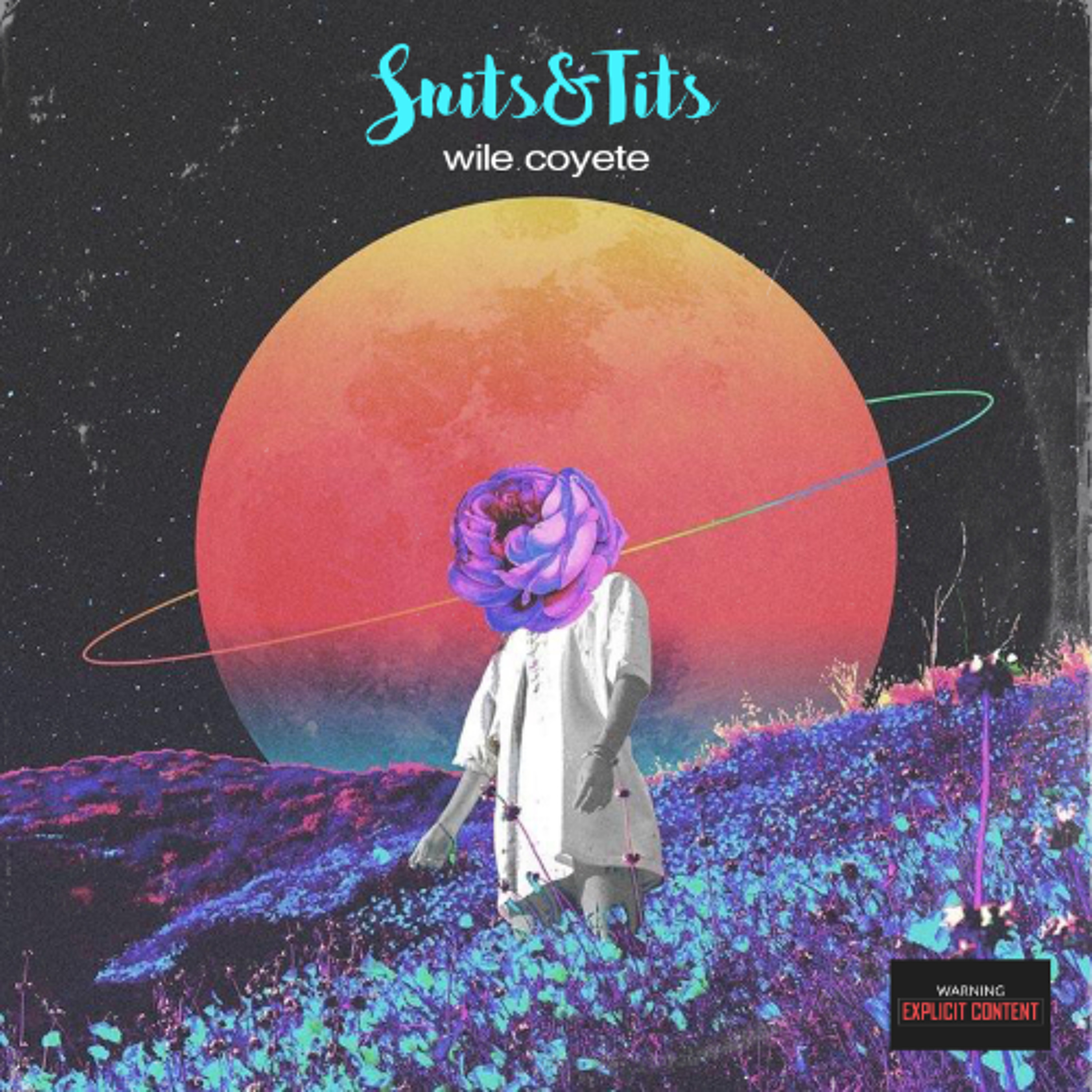 Snits & Tits episode artwork