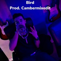 Bird | Prod. CamberMixedit