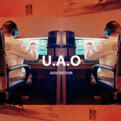 U.A.O. Instrumentals - In The Meanwhile (Produced By Unlike Any Other Records)