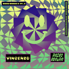 Many Moods 11 Pt. 2 VINCENZO
