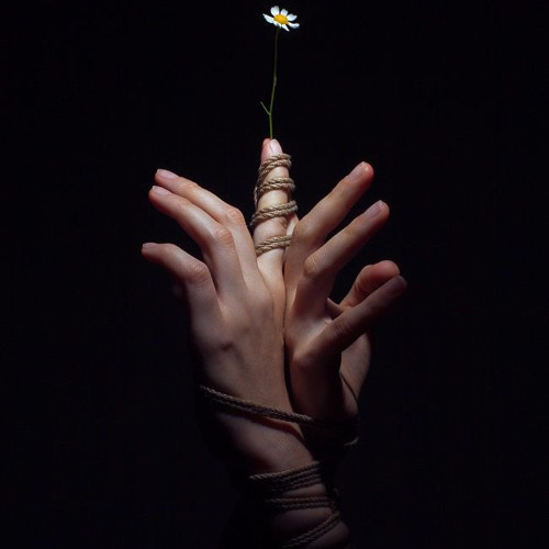 بِيننا قِصَّةٌ.