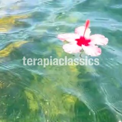 𝘤𝘭𝘢𝘴𝘴𝘪𝘤𝘴