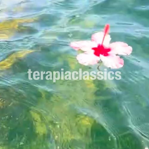 𝘤𝘭𝘢𝘴𝘴𝘪𝘤𝘴