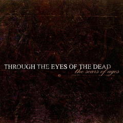 Through The Eyes Of The Dead - Forever Ends Today
