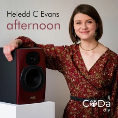 Afternoon - Heledd Evans