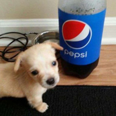 diet -pepsi.gif