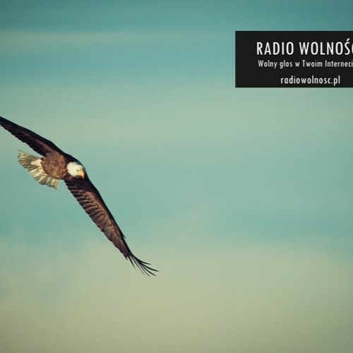 PREMIERA! Czemu konserwatyści reagują nerwowo na słowo "wolność"?