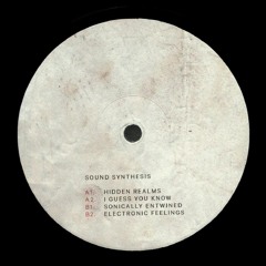 Infiltrate 08 - Sound Synthesis - Hidden Realms