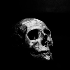 GARMATA - ZАЖАРЕННЫЕ ТИГРЫ