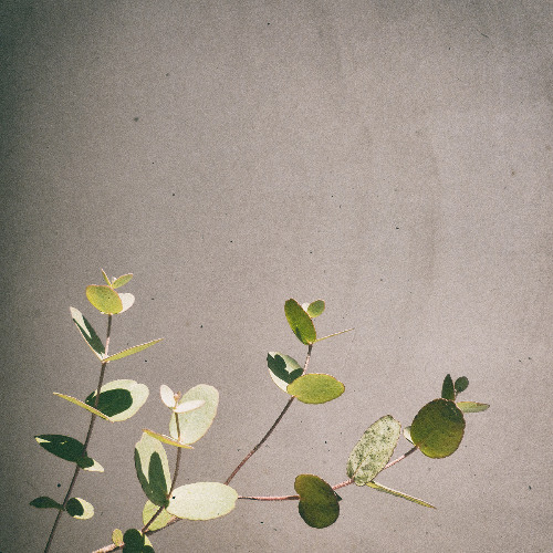 three | Album TWENTY-FOUR