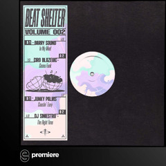 Premiere: Ciro Blazevic - Gonna Funk - Junked Groove