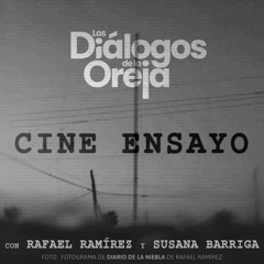 Cap. 3: El Cine Ensayo