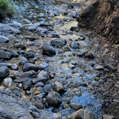 Is the Moon Theirs to Keep (Vocal and Acoustic Guitar)