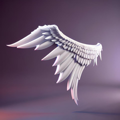 everytime (splashgvng + pekarot)