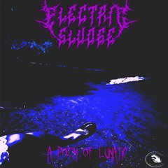 Psychotic Symphony - 280 Bpm EP ''A Poem Of Lunatic'' [DEMO]