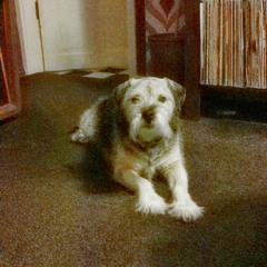 Oogans Park Walk Gyp Style