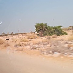 come over - little winters (official lyric video)