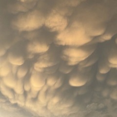 розпиши розмову