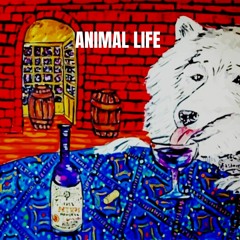 Animal Life