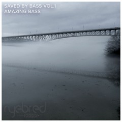 Saved By Bass Vol1; Amazing Bass