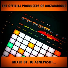 #MixTape | The Official Producers Of Mozambique - Mixed By DJ Asnepas (2014)