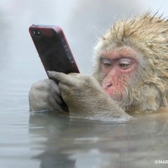 Stop Tappin on your Phone