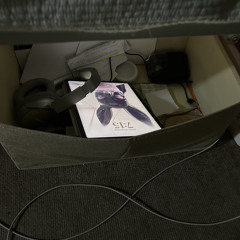 IN THE NETWORK JUNGLE(with NAVER)