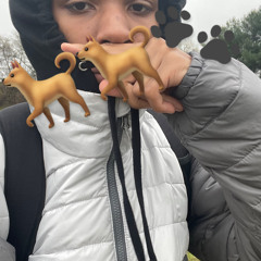 DOINALOT🐕