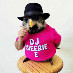 BURD GANG - DJ QUEERIE E A HOE ASS BITCH (DJ Eerie E Diss) Prod. Supa Nigag