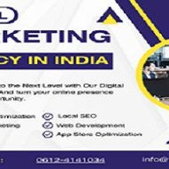 Webzyro Digital Marketing Agency in India