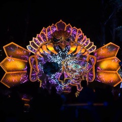 Psychedelic Podcast's