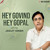 Artwork for Hey Govind Hey Gopal Lofi Flip