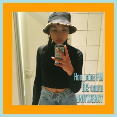 Hoe_mies FM - 012 - nooru - UNITWERKY