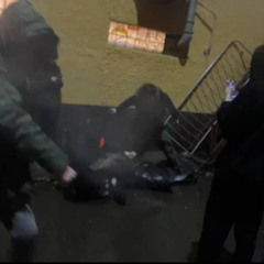 #мягкие_ткани_11.25