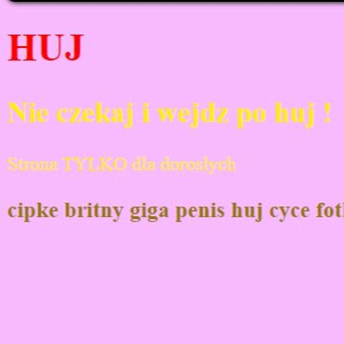 mama blowa i podstawy kryptowalut