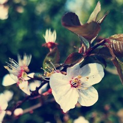 Somewhere Between Dub And Techno