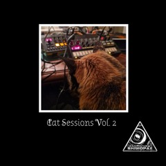 Cat Sessions Vol.2