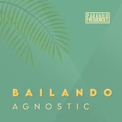 Paradisio - Bailando (Agnostic Remix) [FREE DOWNLOAD]