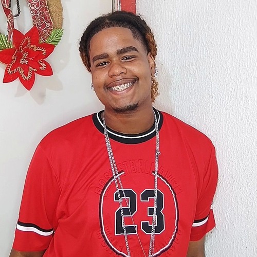 MC ROGER E NANZIIN - PAPAI DO ANO,BOTEI TIREI,EU TO SOLTEIRO BEM DESCRETO ( DJ GABRIEL DO BOREL )