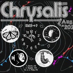 Chrysalis b3b