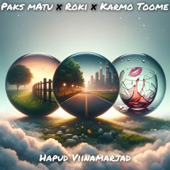 Paks Matu & Roki x Karmo Toome - Aiaäärne