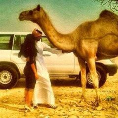 قالت حبيبي